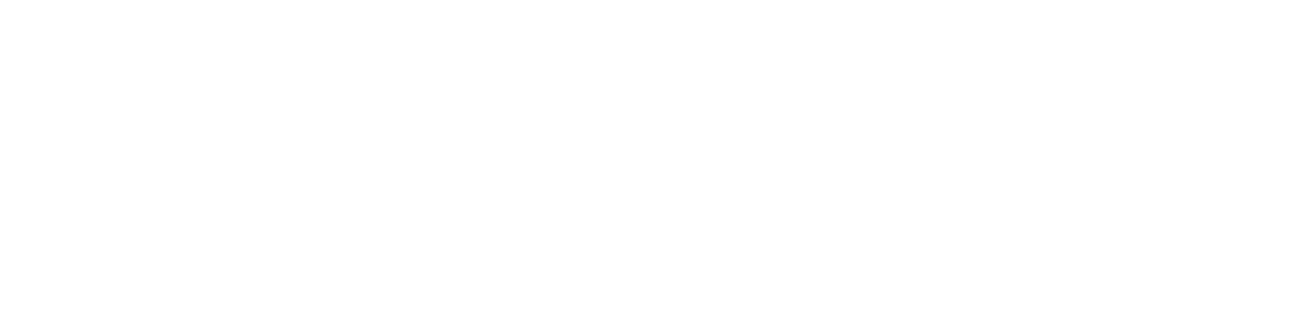 Digital Innovation Days, DIDAYS24, logo, bianco