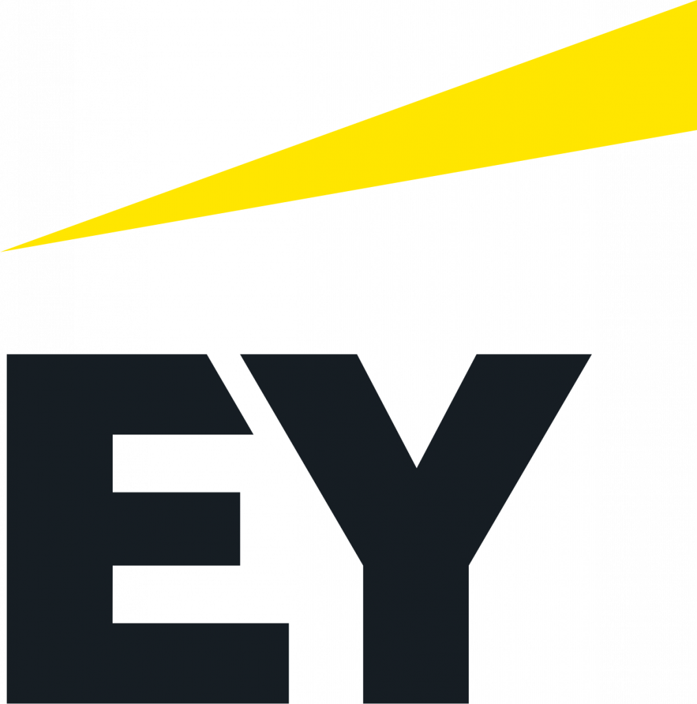 EY logo 2019.svg - Didays 2025