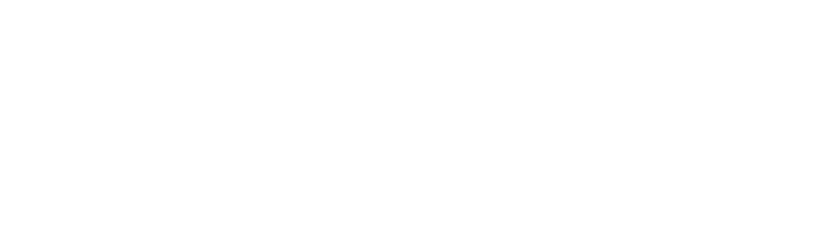 Fionda logo - Didays 2025